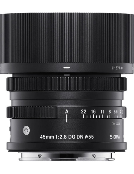 fP + AF 45mm f / 2.8 (c) DG DN